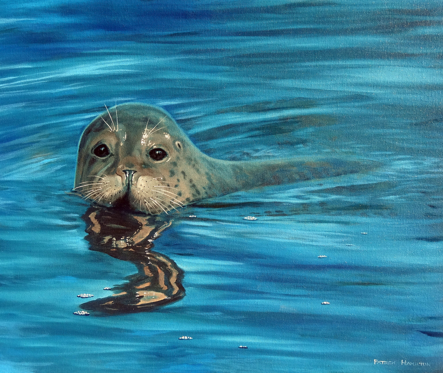 Seal Pup Giclee